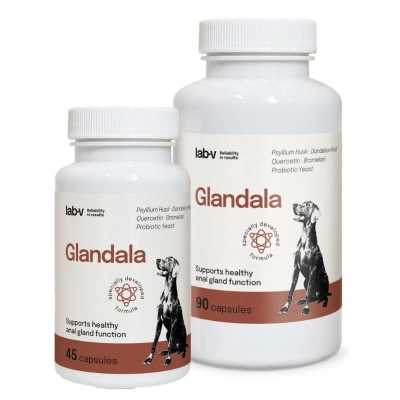 Lab-v Glandala – Unterstützung der ordnungsgemäßen Funktion der Perianaldrüsen und des Verdauungstrakts bei Hunden, 135 Kapseln