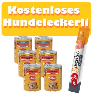 Pedigree Nassfutter für ausgewachsene Hunde mit Rindfleischpudding 6x1200g