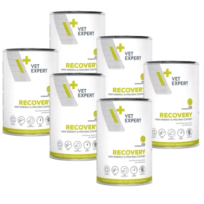 VETEXPERT Veterinary Diet Recovery 6x400g