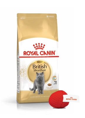 ROYAL CANIN British Shorthair Adult 10kg + Royal Canin Katzenball GRATIS