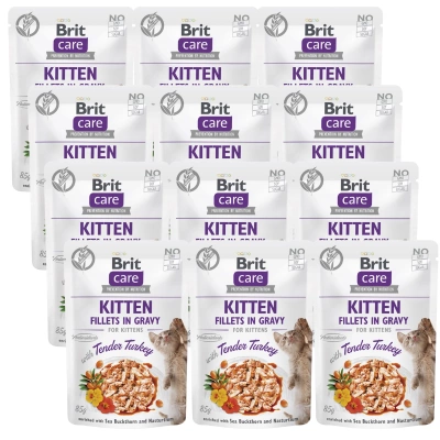 BRIT CARE Katzenfilet in Soße mit zartem Putenfleisch, angereichert mit Sanddorn und Kapuzinerkresse 12x85g