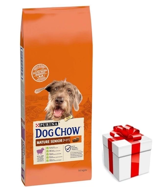 PURINA Dog Chow Mature Senior Lamb 14kg + Überraschung für den Hund