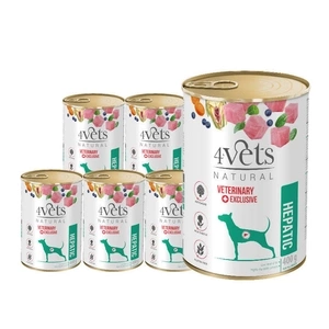 Dolina Noteci 4Vets Hepatic für Hunde 6x400g