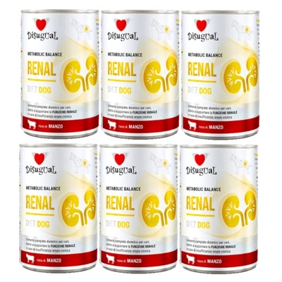 Disguial Nassfutter für Hunde, tierärztlich, Nierenschutz, Rindfleisch (ausgewachsen), 6x400 g