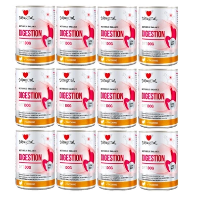 Disgual Veterinär-Nassfutter für Hunde, Verdauung, Truthahn (ausgewachsen), 12x400 g