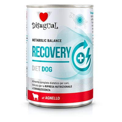 Disgual Nassfutter für Hunde Veterinary RECOVERY Lamm (ausgewachsen) 400g