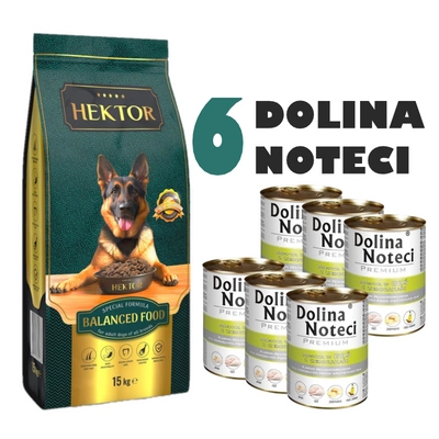 HEKTOR BALANCED Adult 15kg + Dolina Noteci Premium Gans mit Kartoffeln 6x400g