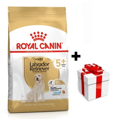 ROYAL CANIN Labrador Retriever Adult 5+ 12kg + Überraschung für den Hund