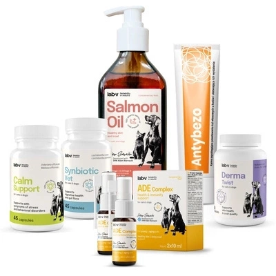 Lab-v Pet Care Box MAXI – Katzen-Geschenkset