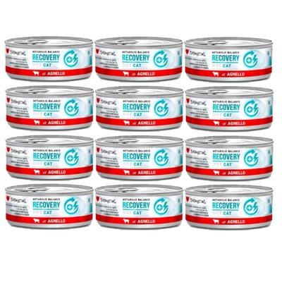 Disgual Nassfutter für Katzen, Veterinärmedizin RECOVERY, Lamm (erwachsen), 12x85 g