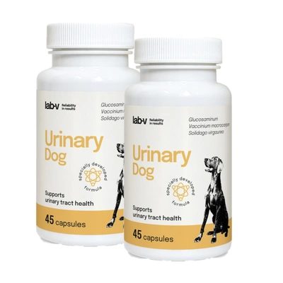 LAB-V Urinary Dog – Unterstützung bei Harnwegsinfekten bei Hunden 2x45 Kapseln