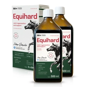 Lab-v Equihard – Komplexe Formel für gesunde Gelenke bei Pferden und Ponys 2x500 ml