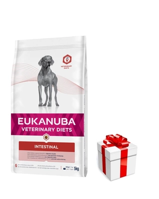 Eukanuba Intestinal Dog 5kg + Überraschung für den Hund