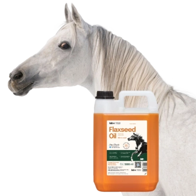 Lab-v Leinsamenöl – 100 % kaltgepresstes Leinöl für Pferde 5000 ml