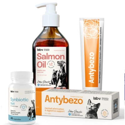 Lab-v Mini-Tierpflegebox – Geschenkset für Katzen