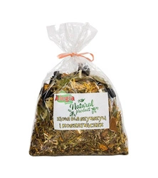 ALEGIA Kräuter für Chinchillas und Rennmäuse 100g