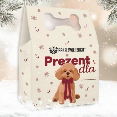 Weihnachtspaket für Hunde