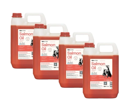 LAB V Lachsöl für Hunde und Katzen 4x5000ml