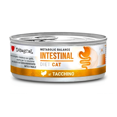 Disgual Nassfutter für Katzen, Veterinär, hypoallergen, Kaninchen (erwachsen), 85 g